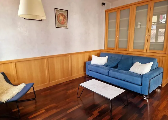 Appartement Annecy Centre Historique Parking Inclus